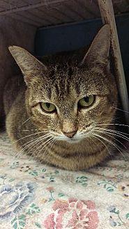 Peanut (13782938)