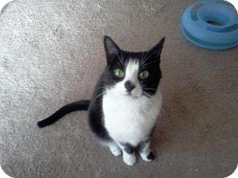 PEANUT* (14819207)