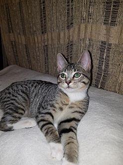 Peanut (19791077)