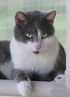 Peanut (20175679)