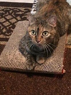 Peanut Britt (17013617)