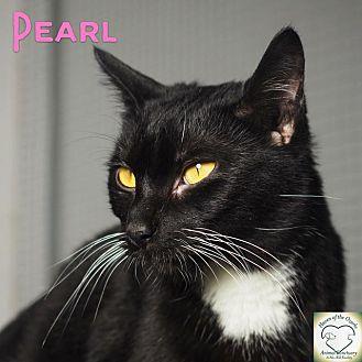Pearl (16669413)