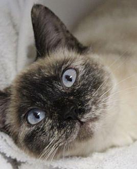 Peggy Jane (20362911)