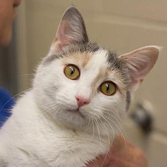 Penelope (20670761)