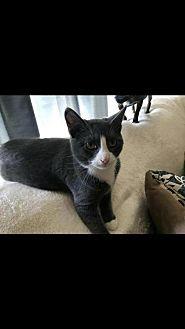 PEPE (20126834)