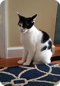 Pepper (14716744)