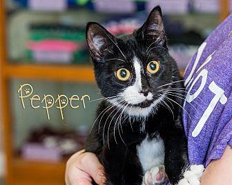 Pepper (20671525)