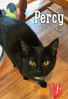 Percy. (19906861)