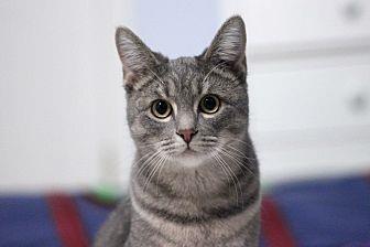 Pip (20437760)