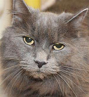 Pip (20523887)