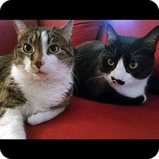 Polly and Pi (18430700)