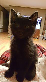 Pookie (20371143)
