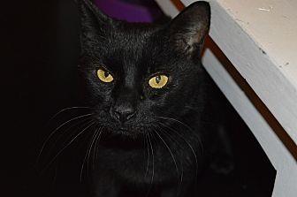 Pookie (20415055)