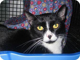 Pookie (9243059)