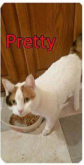 Pretty (17397192)