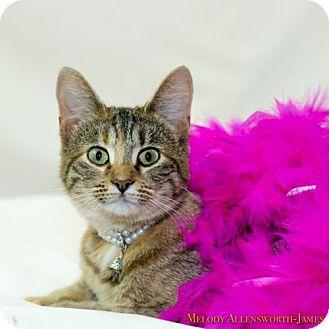 Princess (17922012)