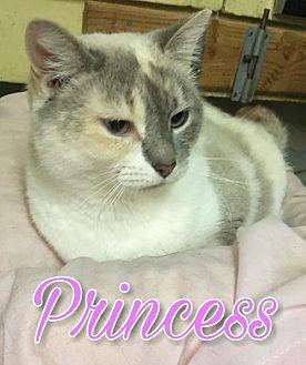 Princess (18941985)