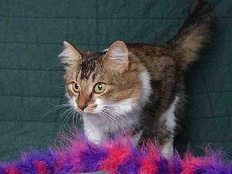 PRINCESS (20055215)