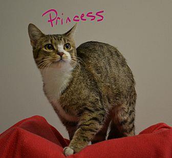 Princess (20367996)