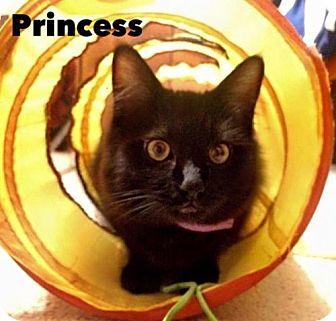 Princess & B (14972955)