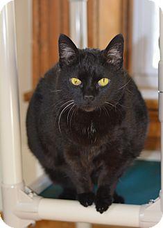 Pumpkin (17136680)
