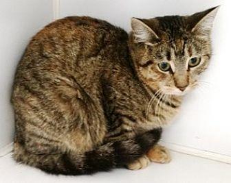 Punkin (20446363)