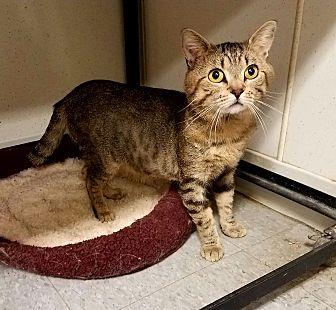 Quincy (18284995)