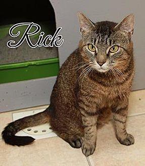 Rick (19221444)