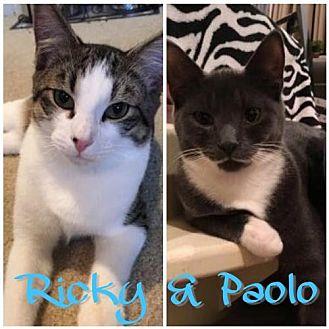Ricky & Paol (17038753)
