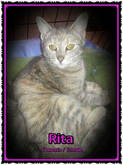 Rita (20457063)