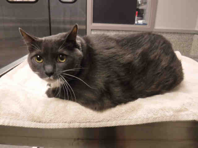 RIVER (A134773)