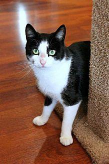 Rockwell (20142215)