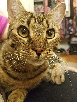 Rocky (19572558)