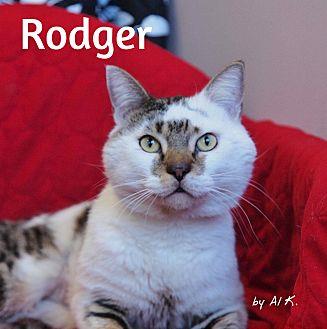 Rodger (20314833)