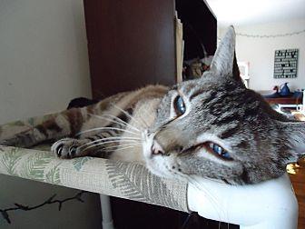 Romeo (19376174)