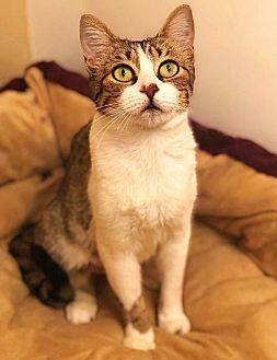 Rosalina (20125793)