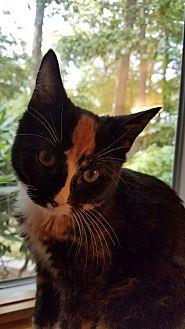 Rosalind (19579339)