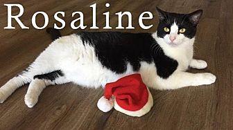 Rosaline (15747883)