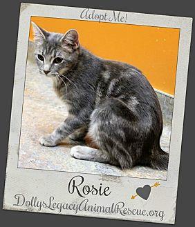 ROSIE (19976521)