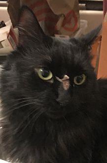 Rosie (20687137)
