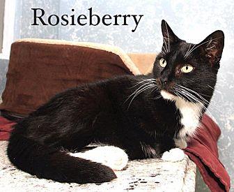 Rosieberry (18400140)