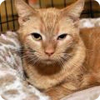 Roxanne (16774574)