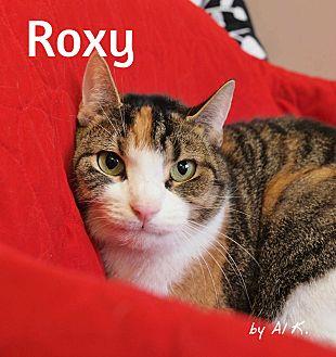Roxy (20172121)