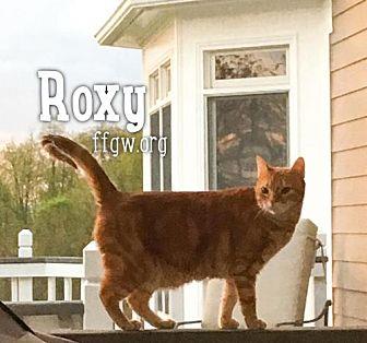 Roxy (20274008)