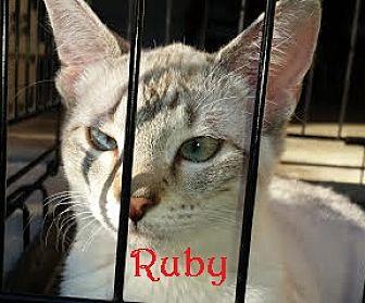 Ruby (17684743)