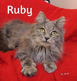Ruby (20243795)