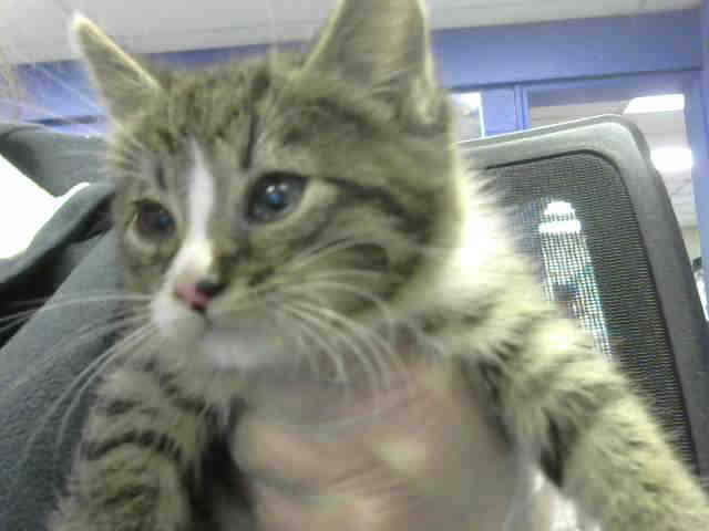RUDY (A632229)