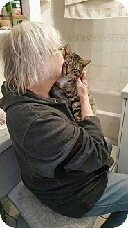 Rudy (FIV) (17771004)