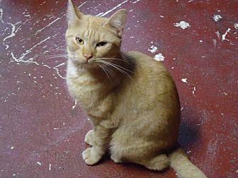 Rusty (19376161)