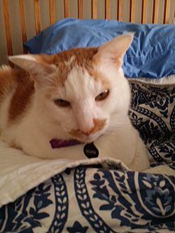 Rusty (20152419)